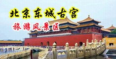 女被男操视频中国北京-东城古宫旅游风景区